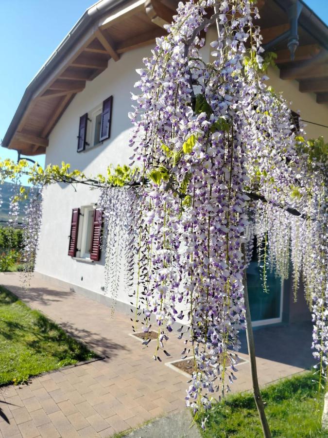 Agritur Lavanda Nave San Rocco Buitenkant foto