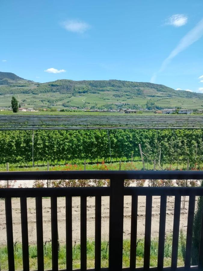 Agritur Lavanda Nave San Rocco Buitenkant foto